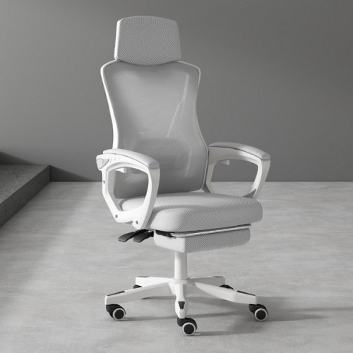 Ghế Công Thái Học Cao Cấp TMS06 - Màu Xám