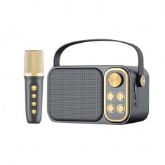 Loa bluetooth karaoke kèm mic JVJ YS-103 1 micro